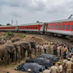 राजधानी एक्सप्रेस से टकराया हाथियों का झुंड