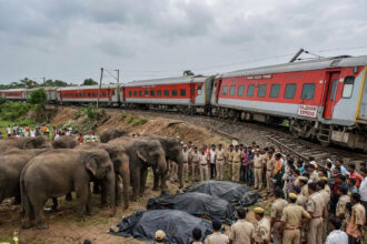 राजधानी एक्सप्रेस से टकराया हाथियों का झुंड