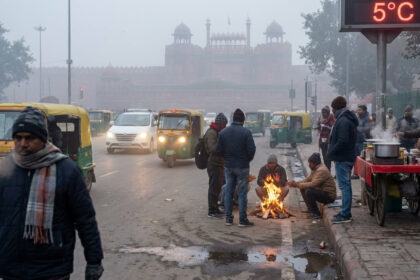 Delhi Winter